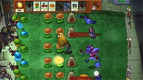 植物大战僵尸核版(PvZ·核)