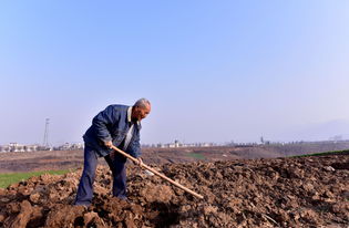 古代人生征收田地事件怎么避免