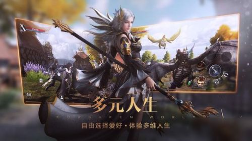 新神魔大陆魔剑士怎么玩